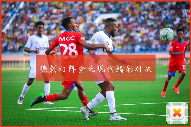 热刺对阵全北现代精彩对决