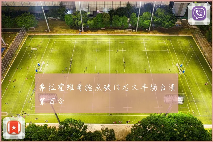 弗拉霍维奇抢点破门尤文半场击溃紫百合